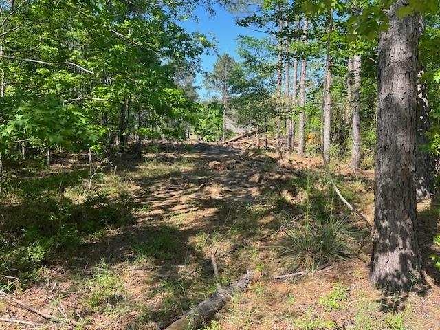 LOT65 Eastgate, Park, TX 77351 - photo 1