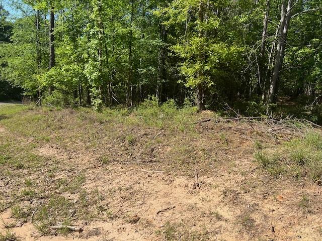 LOT65 Eastgate, Park, TX 77351 - photo 2