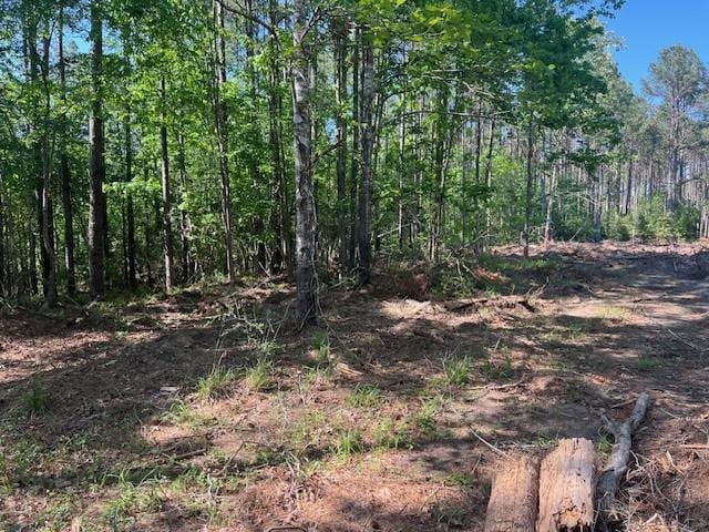 LOT65 Eastgate, Park, TX 77351 - photo 3