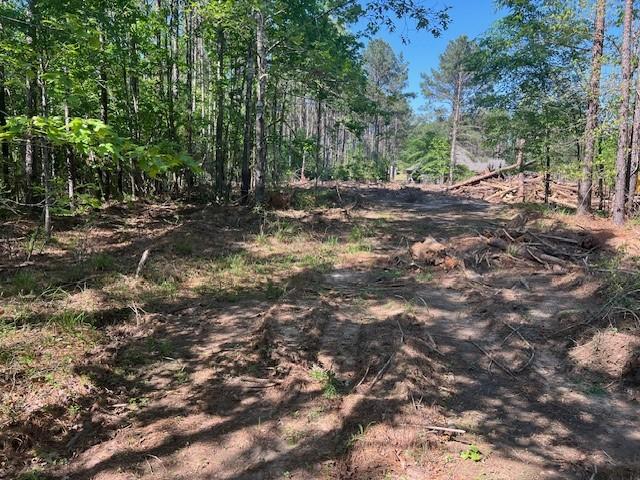 LOT65 Eastgate, Park, TX 77351 - photo 4