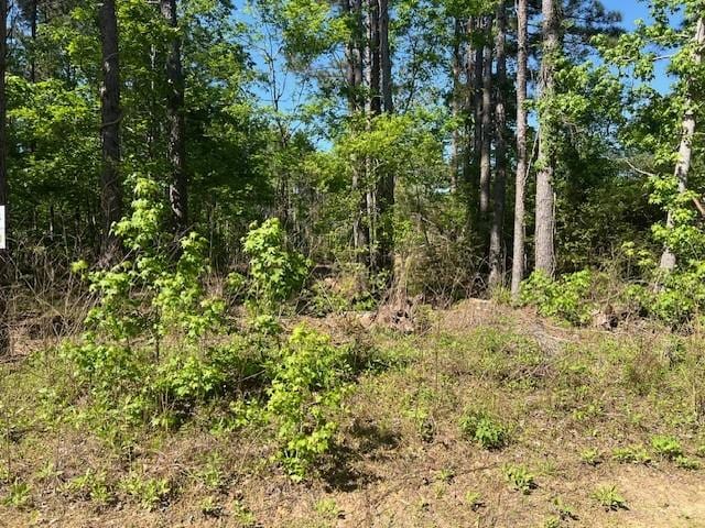 LOT65 Eastgate, Park, TX 77351 - photo 5