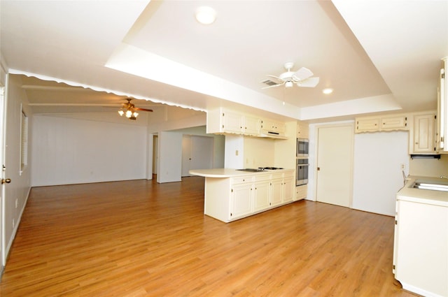 1110 Holly Dr, Conroe, TX 77301 - kitchen featuring light countertops, a raised ceiling, a ceiling fan, and a sink