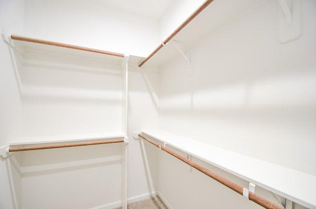 spacious closet featuring light colored carpet