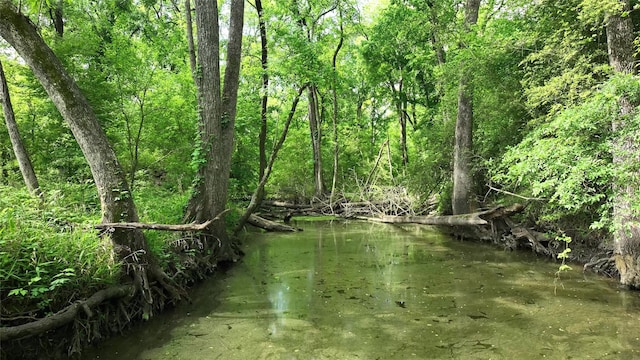 3385 Felder Rd, Washington, TX 77880