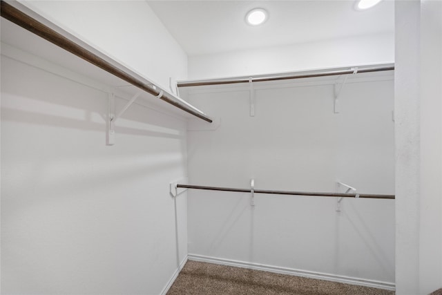 1830 Bravos Manor Ln, Fresno, TX 77545 - spacious closet with carpet