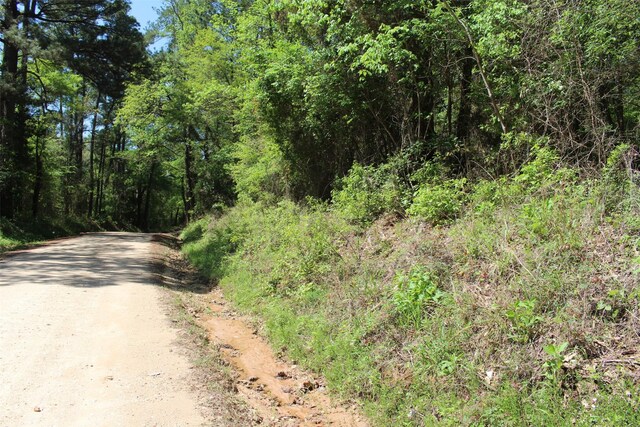 000 County Road 1190, Grapeland, TX 75844 - photo 2