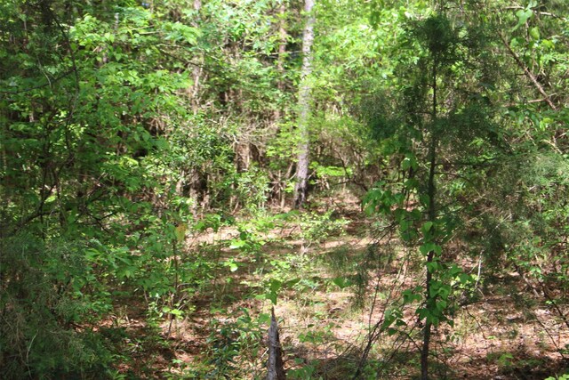000 County Road 1190, Grapeland, TX 75844 - photo 4