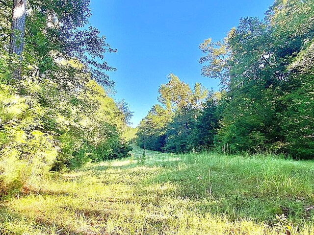 000 County Road 1190, Grapeland, TX 75844 - photo 11
