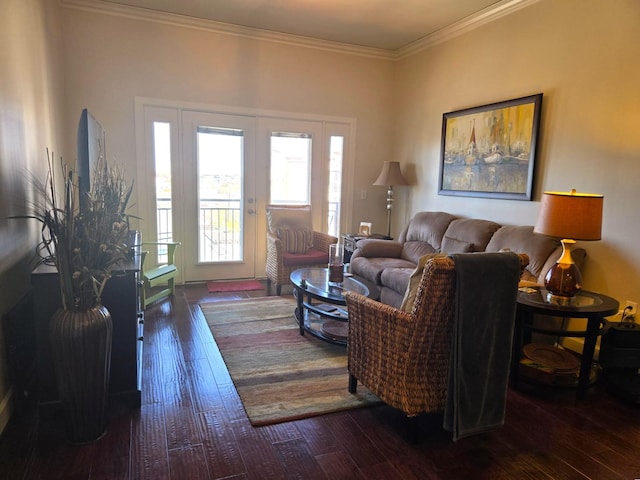 100 Willard St Unit 46, Houston, TX 77006 - living area featuring crown molding and hardwood / wood-style floors