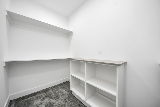673 Rd 5822, Cleveland, TX 77327 - walk in closet with dark carpet