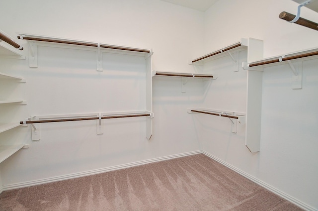 14211 Walworth Creek Ct, Rosharon, TX 77583 - walk in closet with light colored carpet