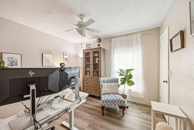 21263 Park Bluff Dr, Katy, TX 77450 - office area featuring a ceiling fan, light wood-type flooring, and a textured ceiling