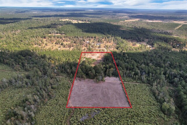 6671 Fm 350 N, Livingston, TX 77351 - photo 6