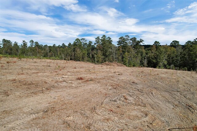 6671 Fm 350 N, Livingston, TX 77351 - photo 10