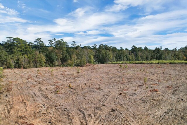 6671 Fm 350 N, Livingston, TX 77351 - photo 11