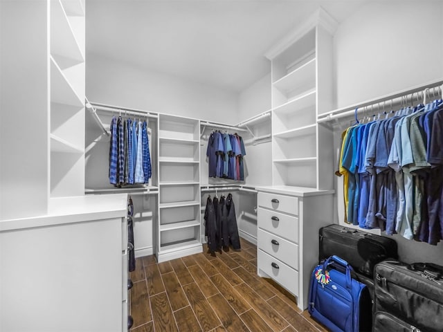 19507 Balsas Dr, Porter, TX 77365 - spacious closet with wood finish floors
