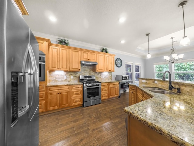 19507 Balsas Dr, Porter, TX 77365 - kitchen featuring tasteful backsplash, ornamental molding, appliances with stainless steel finishes, under cabinet range hood, and a sink
