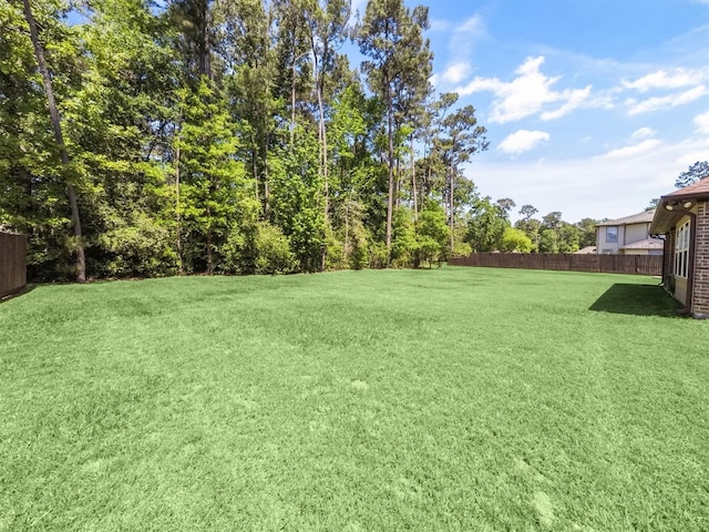 19507 Balsas Dr, Porter, TX 77365 - view of yard featuring fence