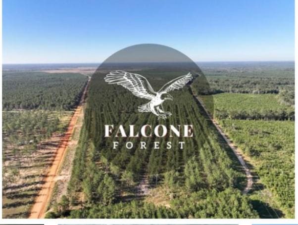 0 Richardson Rd E, Livingston, TX 77351 - photo 1