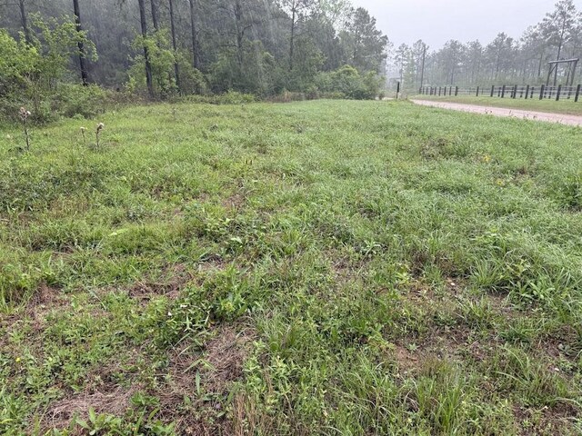 0 Richardson Rd E, Livingston, TX 77351 - photo 31