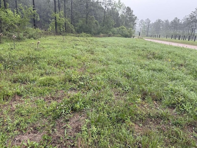 0 Richardson Rd E, Livingston, TX 77351 - photo 32