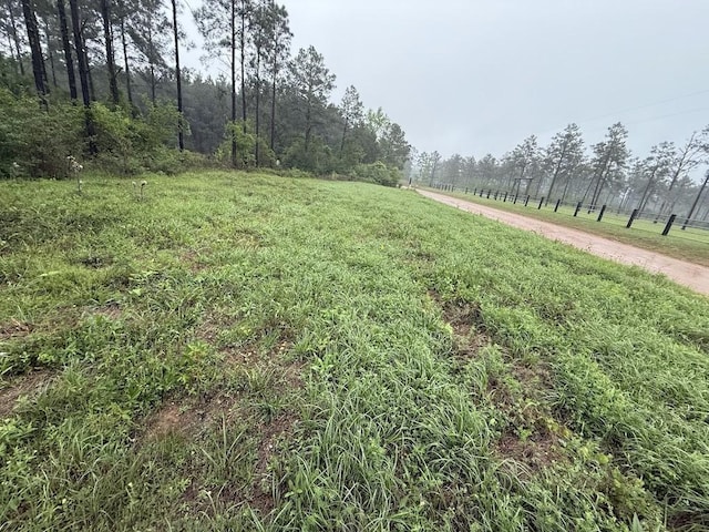 0 Richardson Rd E, Livingston, TX 77351 - photo 33