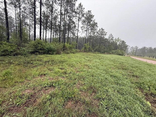 0 Richardson Rd E, Livingston, TX 77351 - photo 34