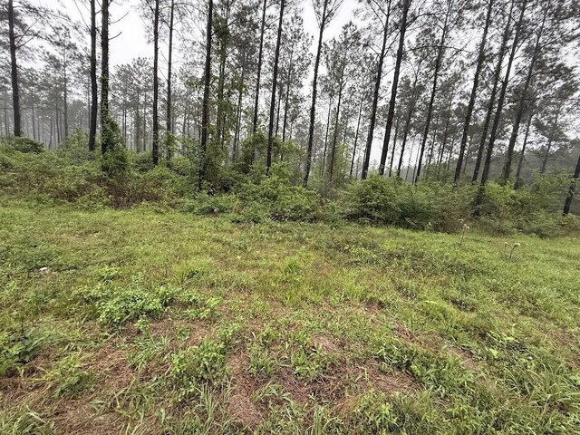 0 Richardson Rd E, Livingston, TX 77351 - photo 35