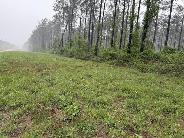 0 Richardson Rd E, Livingston, TX 77351 - photo 36