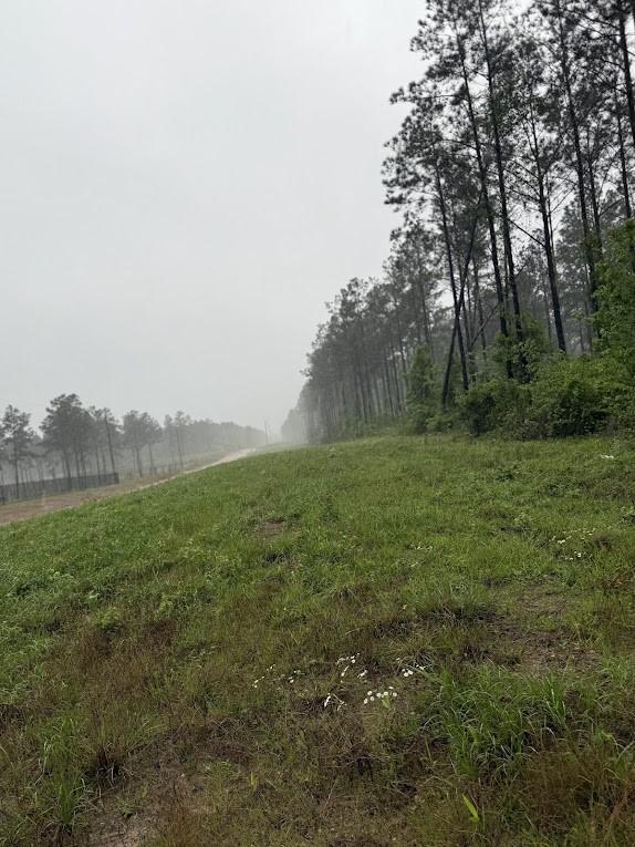 0 Richardson Rd E, Livingston, TX 77351 - photo 37