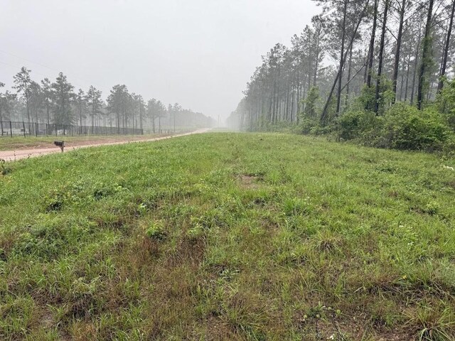 0 Richardson Rd E, Livingston, TX 77351 - photo 38