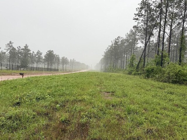 0 Richardson Rd E, Livingston, TX 77351 - photo 40