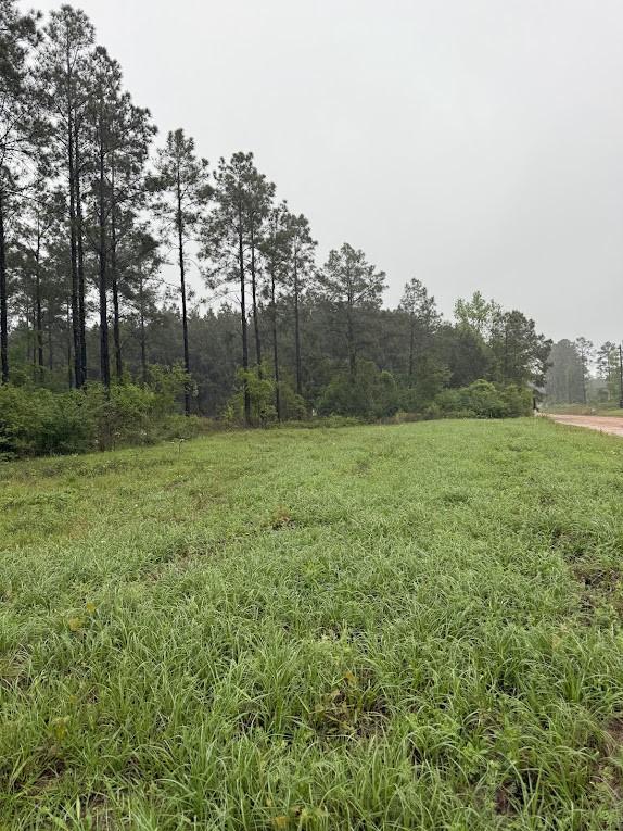 0 Richardson Rd E, Livingston, TX 77351 - photo 15