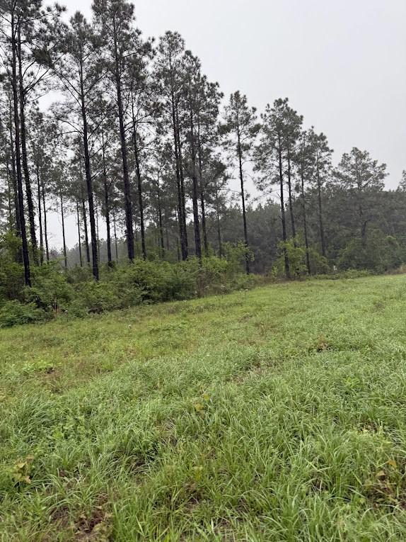 0 Richardson Rd E, Livingston, TX 77351 - photo 16