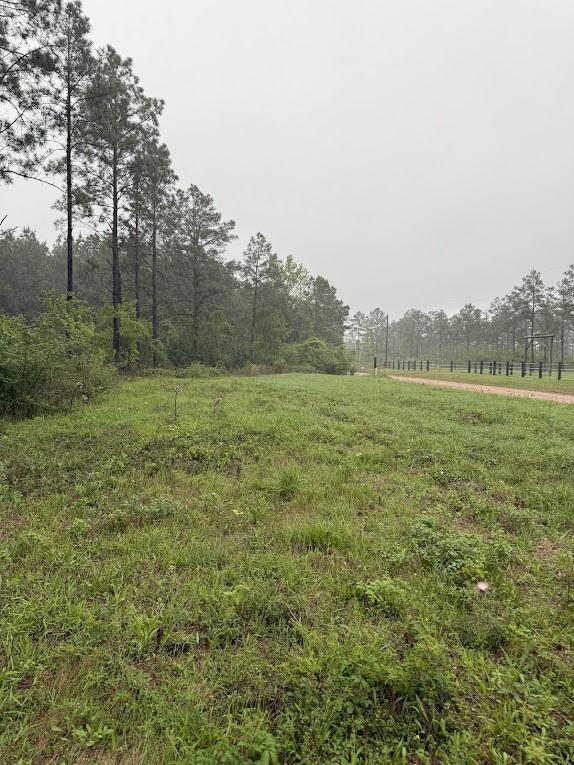 0 Richardson Rd E, Livingston, TX 77351 - photo 18