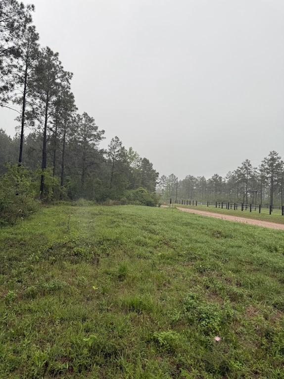 0 Richardson Rd E, Livingston, TX 77351 - photo 19