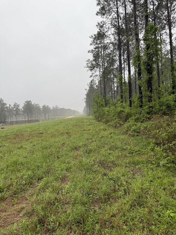 0 Richardson Rd E, Livingston, TX 77351 - photo 23