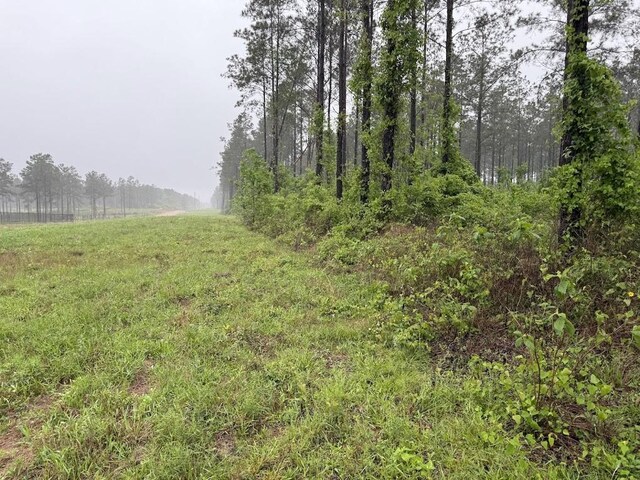 0 Richardson Rd E, Livingston, TX 77351 - photo 25