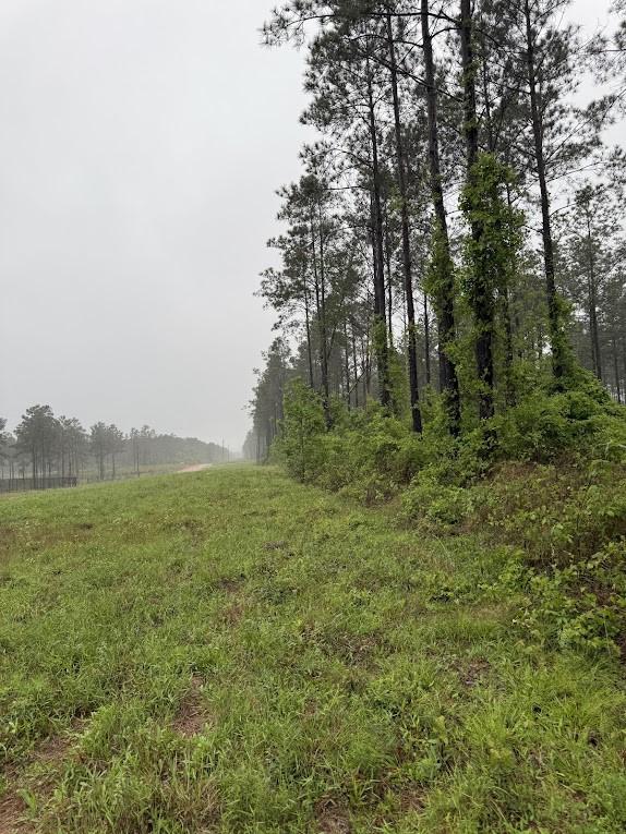 0 Richardson Rd E, Livingston, TX 77351 - photo 26
