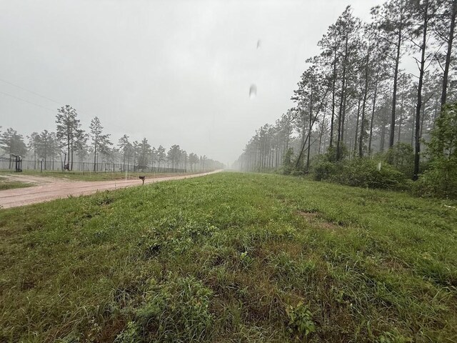 0 Richardson Rd E, Livingston, TX 77351 - photo 45