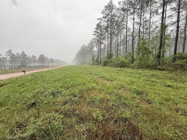 0 Richardson Rd E, Livingston, TX 77351 - photo 46