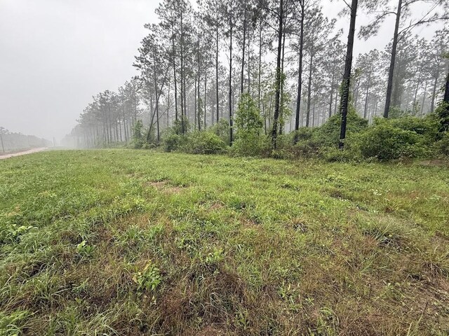 0 Richardson Rd E, Livingston, TX 77351 - photo 47