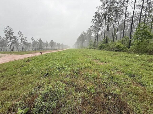 0 Richardson Rd E, Livingston, TX 77351 - photo 49