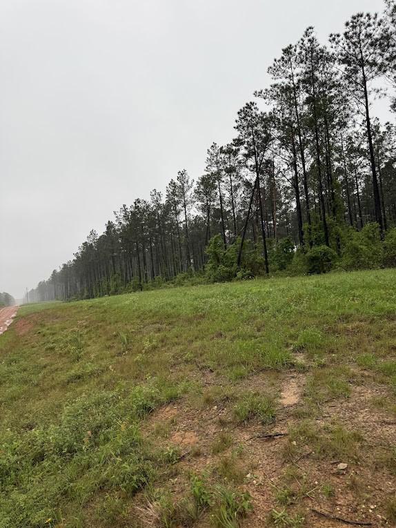 0 Richardson Rd E, Livingston, TX 77351 - photo 7