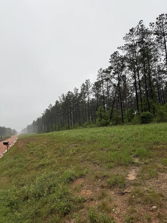 0 Richardson Rd E, Livingston, TX 77351 - photo 8