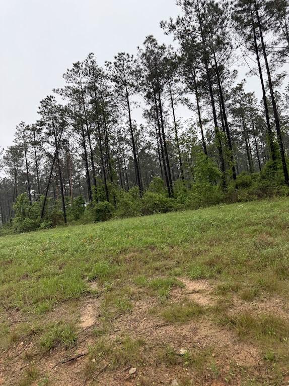 0 Richardson Rd E, Livingston, TX 77351 - photo 9