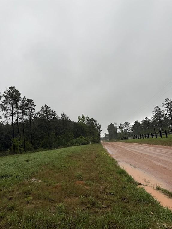 0 Richardson Rd E, Livingston, TX 77351 - photo 10