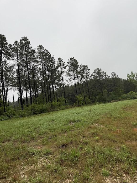 0 Richardson Rd E, Livingston, TX 77351 - photo 12