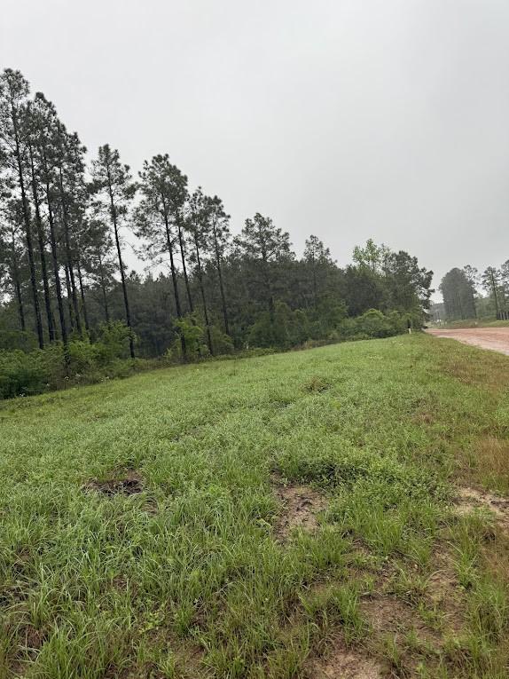0 Richardson Rd E, Livingston, TX 77351 - photo 13