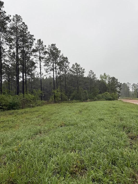 0 Richardson Rd E, Livingston, TX 77351 - photo 14